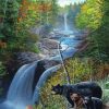 Bears In Waterfall Landscape Diamond Painting