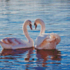 Couple Swan Birds Diamond Painting