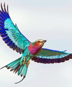 Lilac Roller African Bird Diamond Painting