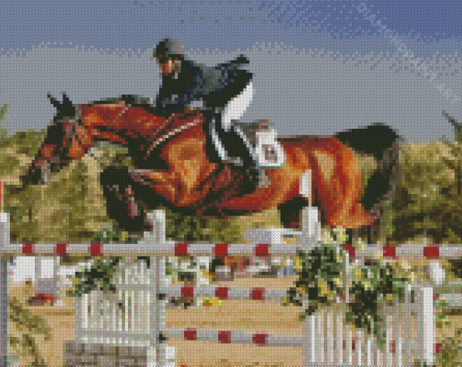 Horse Ride Event Show Diamond Painting