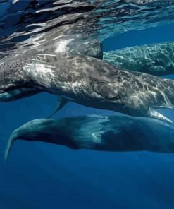Sperm Whales In The Ocean Diamond Painting