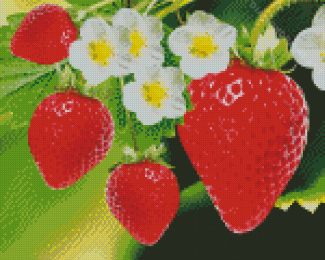 Strawberry Fruits With Flowers Diamond Painting