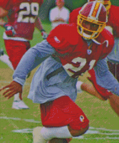 The Redskins Player Sean Taylor Diamond Painting