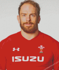 Tyler Morgan Wales Rugby Player Diamond Painting